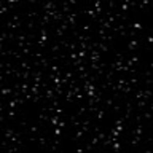 Meet your Posher, Gemma